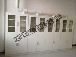 药品柜-全木排风