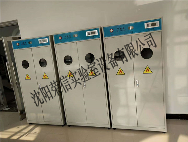 标准气瓶柜