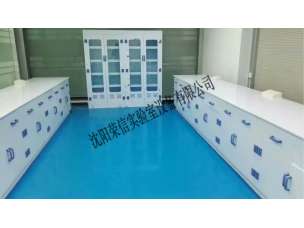 PP实验台器皿柜